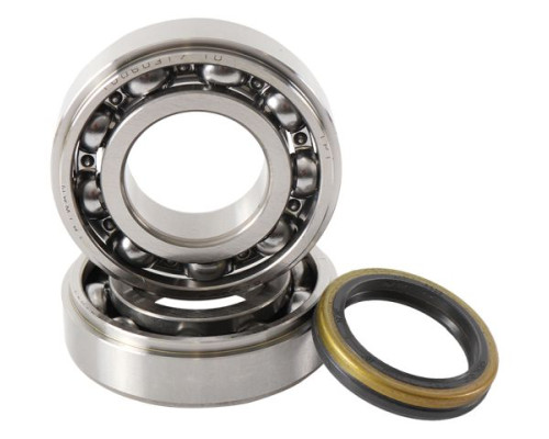 Підшипники коленвала hot rods suzuki rmz 250 (07-09)
