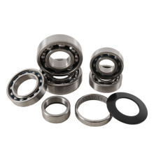 РЕМКОМПЛЕКТ КОРОБКИ ПЕРЕДАЧ HOT RODS HONDA CRF 250R 06 (CRF250R)