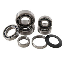 РЕМКОМПЛЕКТ КОРОБКИ ПЕРЕДАЧ HOT RODS HONDA CRF 250R 06 (CRF250R)