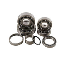 РЕМКОМПЛЕКТ КОРОБКИ ПЕРЕДАЧ HOT RODS KAWASAKI KX 125 03-04
