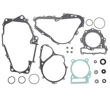 NAMURA Комплект Прокладок для двигуна CAN AM (BOMBARDIER) DS 650 (00-07), BMW F 650 '93-'99 (ROTAX)