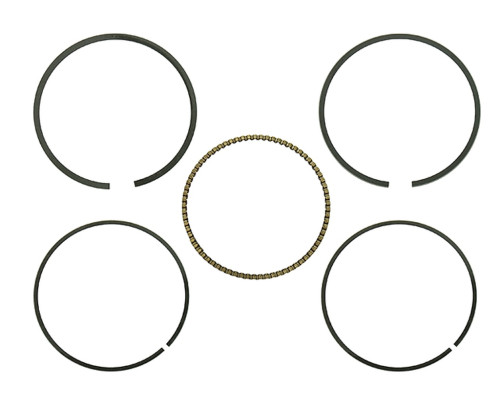 Namura rings arctic cat 300 dvx '09-'17, kawasaki kvf 300 brute force '12-'17, kymco mxu 300 / maxxer 300 '05-'10, (діам. Циліндра 73,75 мм = +
