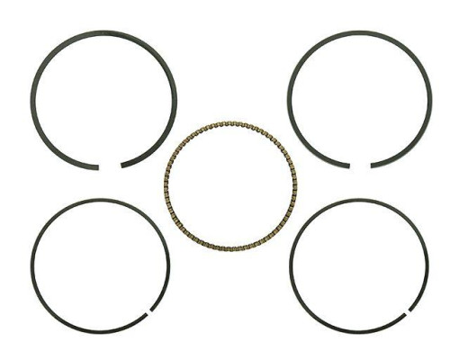 Namura rings arctic cat 300 dvx '09-'17, kawasaki kvf 300 brute force '12-'17, kymco mxu 300 / maxxer 300 '05-'10, (діам. Циліндра 73,75 мм = +
