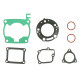 NAMURA Прокладка TOP-END HONDA CR 125 00-02 (810237)