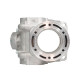 Promx 2024/05 Циліндр ktm exc 300 '12-'17 (карбюратор) husqvarna te 300 '14-'17 (std 72mm) nicasil (54830338300)