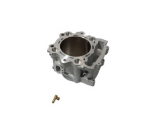 Promx 2024/05 Циліндр YAMAHA yfm 700 grizzly '07-'15, yfm 700 r raptor '06-'20 (std. 102mm) nicasil