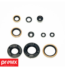 PROMX  Комплект Прокладок для двигуна KAWASAKI KX 250 (05-07) (10SZT.)