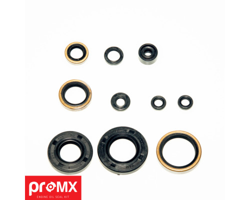 PROMX Комплект Прокладок для двигуна KAWASAKI KX 250 (05-07) (10SZT.)