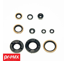 PROMX  Комплект Прокладок для двигуна KAWASAKI KX 250 (05-07) (10SZT.)