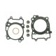 PROX Прокладка TOP-END BETA 350 RR '11-'19, 390 RR '15-'19 (G?OWICA+Циліндр)