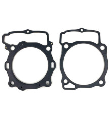 PROX Прокладка TOP-END BETA 480 RR '20-'21 (G?OWICA+Циліндр)