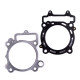 PROX Прокладка TOP-END KAWASAKI KXF 450 '06-'08, KLX 450 R '08-'21 (G?OWICA+Циліндр)