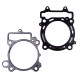 PROX Прокладка TOP-END KAWASAKI KXF 450 '09 (G?OWICA+Циліндр)