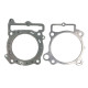 PROX Прокладка TOP-END KAWASAKI KXF 450 '21, KX 450XC '21 (G?OWICA+Циліндр)