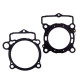 PROX Прокладка TOP-END KTM SXF 250 (SX-F) '13-'15 (G?OWICA+Циліндр)