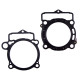 PROX Прокладка TOP-END KTM SXF 350 (SX-F) '13-'15 (G?OWICA+Циліндр)