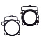 PROX Прокладка TOP-END KTM SXF 350 (SX-F) '13-'15 (G?OWICA+Циліндр)