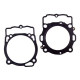 PROX Прокладка TOP-END KTM SXF 450 (SX-F) '14-'15 (G?OWICA+Циліндр)
