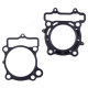 PROX Прокладка TOP-END SUZUKI RMZ 250 '07-'09 (G?OWICA+Циліндр)