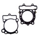 PROX Прокладка TOP-END SUZUKI RMZ 250 '10-'21 (G?OWICA+Циліндр)