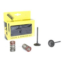 Впускні клапани prox /комплект пружин/ suzuki rmz 250 (04-06) kawasaki kxf 250 (04-06)