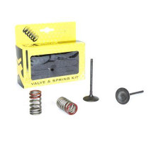 Впускні клапани prox /комплект пружин/ suzuki rmz 250 (04-06) kawasaki kxf 250 (04-06)