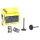 Впускні клапани prox /комплект пружин/ suzuki rmz 450 (08-20) rmx 450 (10-14)
