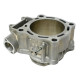 Циліндр PSYCHIC HONDA crf 450x (05-16) std = 96mm (ec210-020,p400210100020)