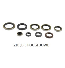 PSYCHIC Комплект Прокладок для двигуна GAS GAS EC 250, EX 300 '21, HUSQVARNA TC 250 '17-'19, TE 250/300 '17-'19, TX 300 '17-'19, KTM SX/XC/XC-W 250/300 '17-'21 (822976)