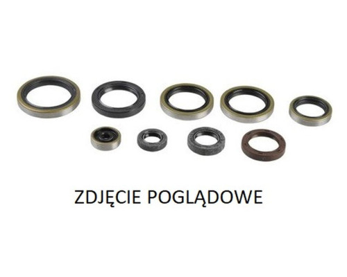 PSYCHIC Комплект Прокладок для двигуна GAS GAS EC 250, EX 300 '21, HUSQVARNA TC 250 '17-'19, TE 250/300 '17-'19, TX 300 '17-'19, KTM SX/XC/XC-W 250/300 '17-'21 (822976)