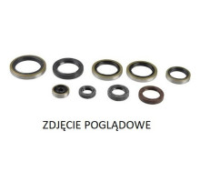 PSYCHIC Комплект Прокладок для двигуна GAS GAS EC 250, EX 300 '21, HUSQVARNA TC 250 '17-'19, TE 250/300 '17-'19, TX 300 '17-'19, KTM SX/XC/XC-W 250/300 '17-'21 (822976)