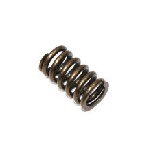Пружина впускного клапана PSYCHIC kawasaki kxf 450 '06-'17, kfx 450r '08-14, klx 450r '08-17 (mx-09528is)