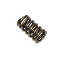 Пружина впускного клапана PSYCHIC kawasaki kxf 450 '06-'17, kfx 450r '08-14, klx 450r '08-17 (mx-09528is)