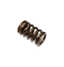 Психіка пружина випускного клапана kawasaki kxf 450 '06-'17, kfx 450r '08-14 (mx-09528es)