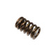 Психіка пружина випускного клапана kawasaki kxf 450 '06-'17, kfx 450r '08-14 (mx-09528es)
