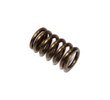 Психіка пружина випускного клапана kawasaki kxf 450 '06-'17, kfx 450r '08-14 (mx-09528es)