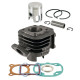 Rms complete cylinder aprilia amico 50 '94-'98