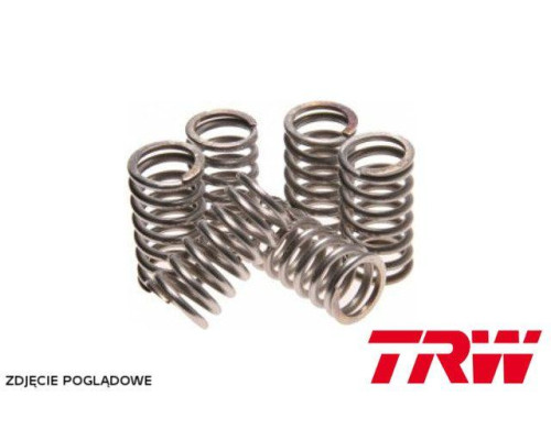 TRW LUCAS CLUTCH SPRINGS TRIUMPH SPEED FOUR 02-05, DAYTONA 650 05, BONNEVILLE 800 02-06, SCRAMBLER 865 06-16, SPEEDMASTER 05-16, THRUXTON 865 04-15, SUZUKI RM 500 85, GSX 400 82 -87, HONDA CR 250R 83-89, (EBS015)