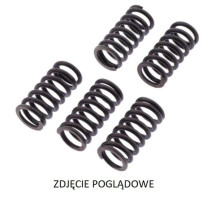 TRW LUCAS ZF ПРУЖИНИ ЗЧЕПЛЕННЯ APRILIA ETV 1200 CAPONORD '13-'17, SMV 1200 DROSODURO '13-'17