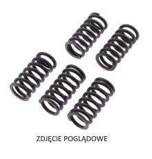 TRW LUCAS ZF ПРУЖИНИ ЗЧЕПЛЕННЯ DUCATI MONSTER EVO 1100 '11-'13, PANIGALE 1199 '12-'14, DIAVEL 1200 ''11-'16, MONSTER 1200 '14-, MULTISTRADA 1200S '16-'17, DIAVEL/MULTISTRADA 1260 '18-