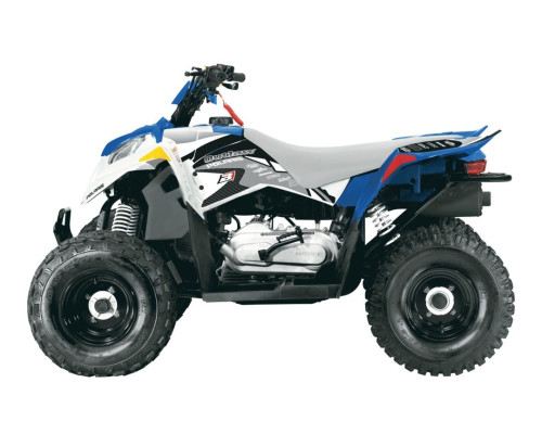Набір нігтів Blackbird Dream 2 Polaris Outlaw '06-'08 16 шт. чорний