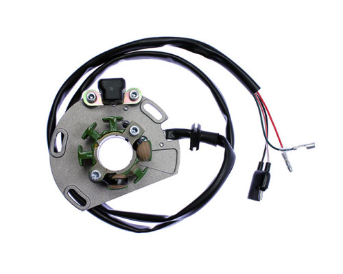 Статор Electrex для мотоцикла Gas Gas EC 125/250, генераторний двигун, чорний