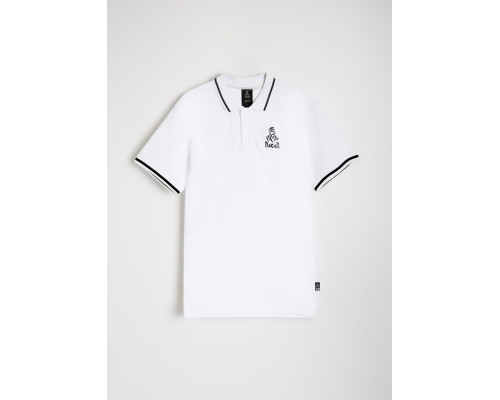 СОРОЧКА ПОЛО DIVERSE DKR POLO M 24 КОЛІР БІЛИЙ РОЗМІР XL