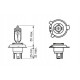 ЛАМПОЧКА BOSCH HS1 35/35 Вт 12 В PX43T