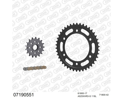 AFAM 2026/04 ZESTAW (KOMPLET) NAPĘDOWY KTM 1050 ADVENTURE 2015-2016 (61800-17, 71800-42, A525XHR3-G 118L) KOLOR ZŁOTY (TO SAMO=07192551)