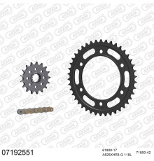 AFAM 2026/04 ZESTAW (KOMPLET) NAPĘDOWY KTM 1090 ADVENTURE 2017-2019 (61800-17, 71800-42, A525XHR3-G 118L) KOLOR ZŁOTY (TO SAMO=07190551)