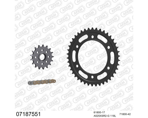 AFAM 2026/04 ZESTAW (KOMPLET) NAPĘDOWY KTM 950 ADVENTURE 2002-2006 (61800-17, 71800-42, A525XSR2-G 118L) KOLOR ZŁOTY