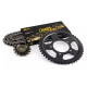 AFAM 2026/04 ZESTAW (KOMPLET) NAPĘDOWY YAMAHA MT-09 2013-2020 (21607NR-16, 12815-45, A525XSR2-G 110L) KOLOR ZŁOTY