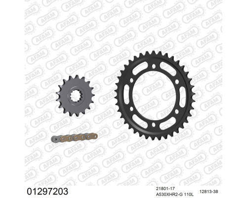 AFAM 2026/04 ZESTAW (KOMPLET) NAPĘDOWY YAMAHA XJR 1300 2008-2014 (21801-17, 12813-38, A530XHR2-G 110L) KOLOR ZŁOTY