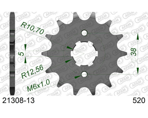 AFAM 2026/04 ZĘBATKA PRZEDNIA 2076 13 YAMAHA XV 125 VIRAGO '97-'01 (JTF1573.13) (ŁAŃC. 520)